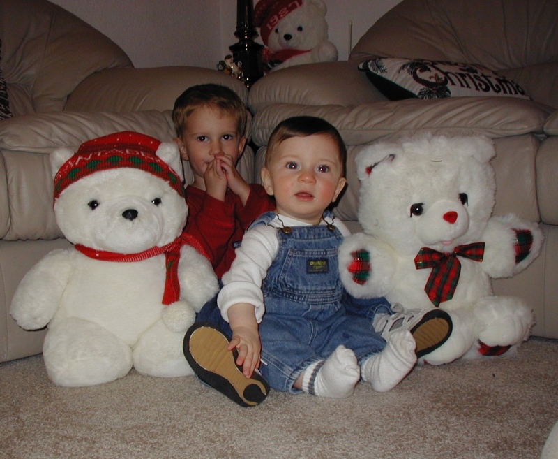 Hildebrand Christmas ScreenSaver/800x600_2001-12 Red White & Blue Christmas 11.jpg